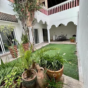 Zina Marrakesh